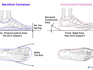 Barefoot Shoe Sizing